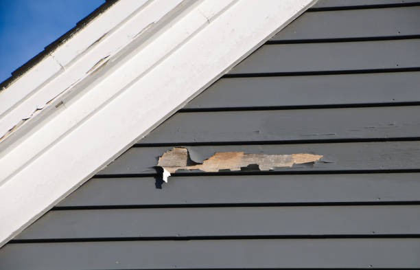 Best Insulated Siding Installation  in Orange City, FL